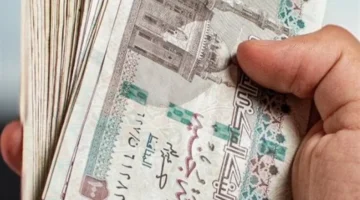 تخصيص 8 مليارات جنيه لدعم المواطنين عبر منصة مصر الرقمية بمناسبة شهر رمضان